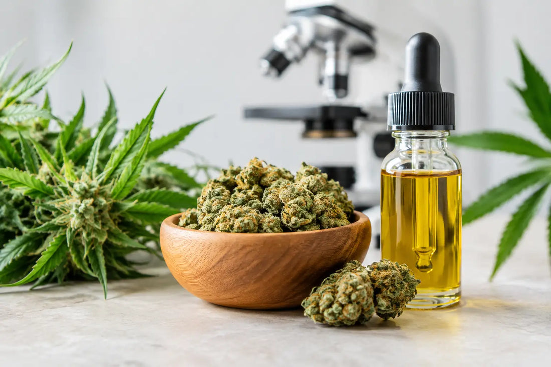 Sind CBD Blüten gentechnikfrei? Das zählt