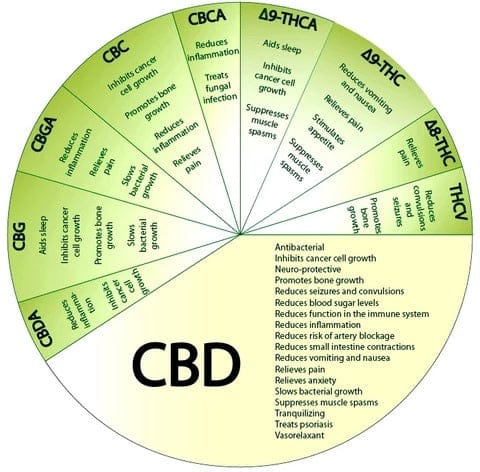 cbd dosirung